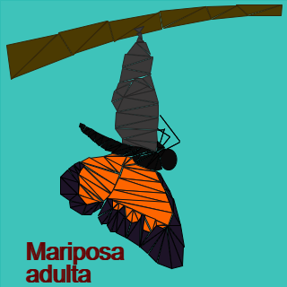 Programa